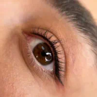 آموزش میکروبلیدینگ ،شیدینگ لب،خط چشم|خدمات آموزشی|کرج, شهرک بنفشه|دیوار