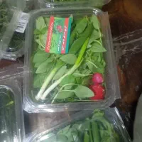 انواع سبزیجات ایرانی وفرنگی|خوردنی و آشامیدنی|تهران, سردارجنگل|دیوار