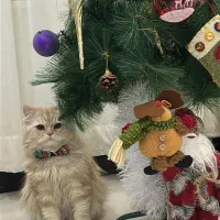 راهنمایی می‌خوام