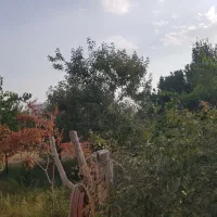 ۱۴۰۰ متر باغ ویلا مزرعه قارچ