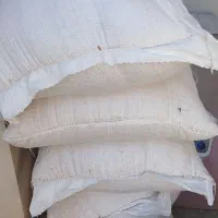 گندم آبی رقم سالار