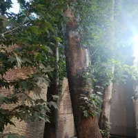 اجاره کوتاه مدت خونه|اجارهٔ کوتاه‌مدت آپارتمان و سوئیت|ماهان, |دیوار