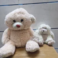 تعدادی عروسک|اسباب‌بازی بچه|اراک, |دیوار