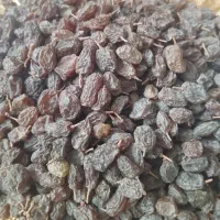 کشمش تازه ،آفتاب خشک|خوردنی و آشامیدنی|اسلام‌شهر, مسکن مهر اسلاشهر (شهرک امام خمینی)|دیوار