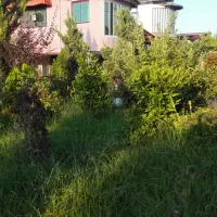 نیازمند سرایدار