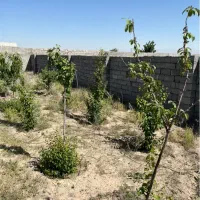 باغچه / امینیه  / ناظریه / معاوضه