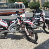 تارو طلائی (سفارشی)|موتورسیکلت|مشهد, الهیه|دیوار