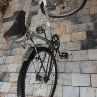 دوچرخه دماوند|دوچرخه، اسکیت، اسکوتر|بیرجند, |دیوار