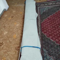 مکت رنگ فیلی|موکت|سرشیو, |دیوار