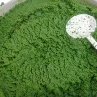 سبزی خورشتی چین اول ارسال ازرامهرمز|خوردنی و آشامیدنی|شاهینشهر, پاسداران|دیوار