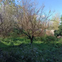 زمین برای ساخت ویلا(500متر)