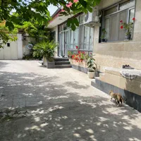 خانه ویلایی  ۵۰۰ متر جاده انزلی|فروش خانه و ویلا|رشت, انصاری|دیوار