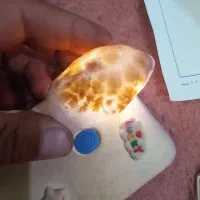 سنگ شجر.درختی|کلکسیون اشیاء عتیقه|بیرجند, |دیوار