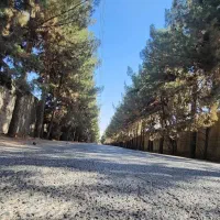 ویلا باغ ۳۰۰ متری دارای انشعاب آب برق گاز