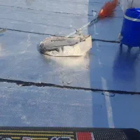 ایزوگام قیر گونی اسفالت|خدمات پیشه و مهارت|ایوانکی, |دیوار