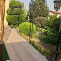 هرس درخت وتمیز کاری باغ باغچه ویلا|خدمات باغبانی و درختکاری|بابل, |دیوار