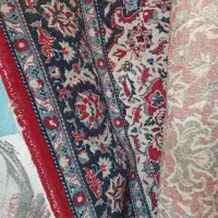 فرش ۶ متری|فرش|شیراز, اصلاح‌نژاد|دیوار