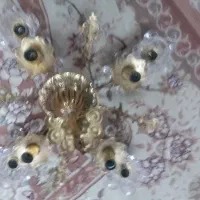 انگشتر|بدلیجات|اراک, |دیوار