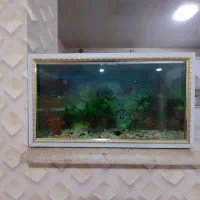 آکواریوم اندازه ۶۵×۳۰