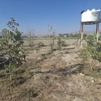 فروش باغ شهری|فروش خانه و ویلا|فیروزآباد (فارس), |دیوار