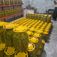 فروش عمده زیتون سوپر صادراتی