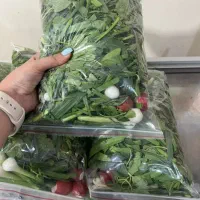 سبزی و لوبیا سبز