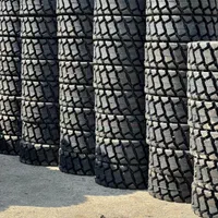 فروش انواع لاستیک بابکت وبیل بکهوولودر وغیره|قطعات یدکی و لوازم جانبی|تهران, امین حضور|دیوار