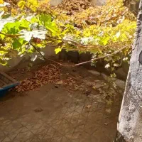 132متر 2 نبش 2.5 طبقه. نبش کوچه اسدنژاد|فروش خانه و ویلا|تهران, یافت‌آباد|دیوار