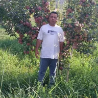 باغبانی مهندس قربانی|خدمات باغبانی و درختکاری|شهریار, فرارت|دیوار