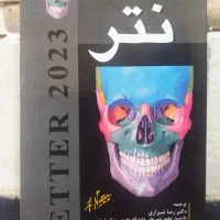 آناتومی نتر