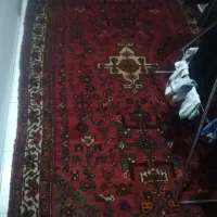 فرش ازندریان گوشتی|فرش|همدان, |دیوار