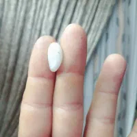 سکه اسکناس قدیمی