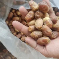 خرماه سعمران زاهدی درجه یک کاز شداه|عمده‌فروشی|شادگان, |دیوار