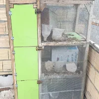 قفس پرندگان