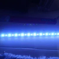 LED آکواریوم|ماهی|شیراز, میانرود|دیوار