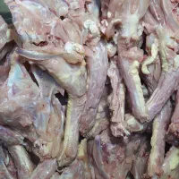اسکلت و گردن با گوشت