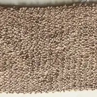 دوعدد پادری