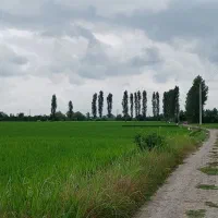 فروش زمین دیوارکشیده شده در قراخیل