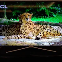 تلویزیون ۵۵ سامسونگ|تلویزیون و پروژکتور|نیشابور, دارایی|دیوار