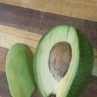 خری** تناژ اووکادو شمال(شرق مازندران)|خوردنی و آشامیدنی|تهران, تهرانپارس غربی|دیوار