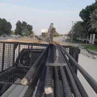 وانت بار قشم