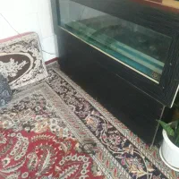 آکواریوم ام دی اف