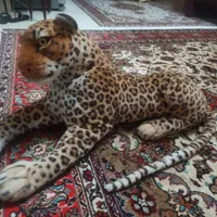ببر مصنوعی|مجسمه، تندیس، ماکت|تبریز, |دیوار