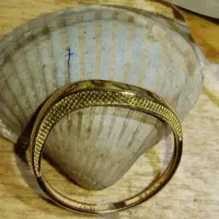 دو تا انگشتر طلا  سبک