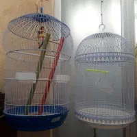 قفس های زینتی برای پرندگان زینتی|لوازم جانبی حیوانات|مرند, |دیوار
