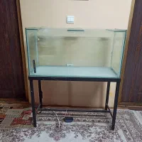 آکواریوم ماهی ۳ عدد