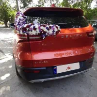 اجاره ماشین عروس|خودرو اجاره‌ای|تهران, تهران‌نو|دیوار