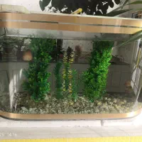 باسلام یک آکواریوم بفروش می رسد