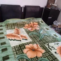 تخت دو نفره و میز آرایش و دراور ۴کشو|تخت و سرویس خواب|شیراز, اصلاح‌نژاد|دیوار