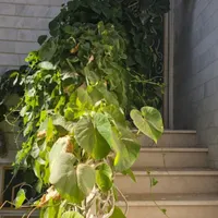 نیاز به مشارکت در ساخت و ساز